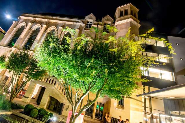 Arbre dans le jardin du Best Western Hôtel de la Paix, hôtel séminaire à Reims